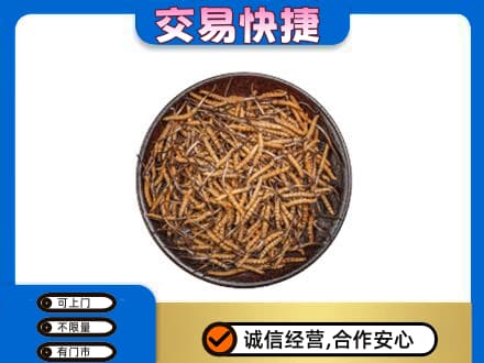 儋州回收散虫草